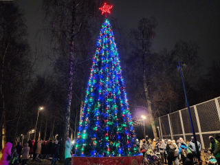 Елка зажглась фейерверком света в парке Березки