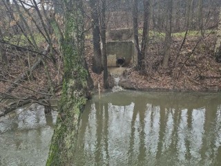 Лаборатория даст ответ: от результатов анализа воды теперь зависит серьезность мер к нарушителям на Чернавке