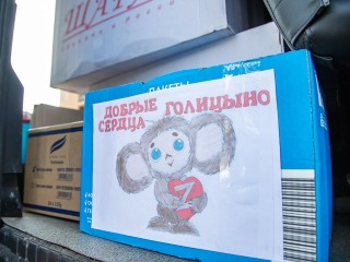 Гранты, помещения и консультации: как поддержали НКО в Одинцовском округе