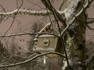 Новый год с морозами и снегом: чего ждать от погоды в Черноголовке на праздниках