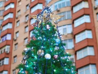 Ростовые куклы и хороводы: первые уличные праздники прошли в Мытищах в преддверии Нового года