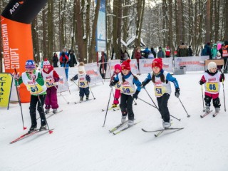 Лыжную трассу в лесопарке «Волкуша» готовят к зимнему сезону