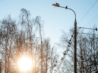 Морозы ниже нормы: в Московском регионе температура опустится до январских значений