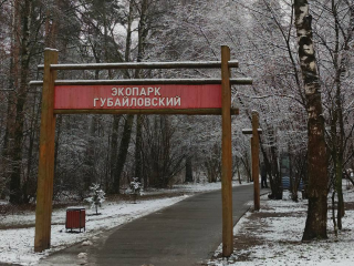 В округе зажигают новогодние елки и приглашают на мастер-классы: программа мероприятий на 6 декабря