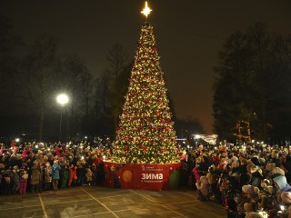 Первую новогоднюю ель зажгли в Ступине