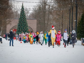 Бегать в костюмах и мастерить ангелов: куда сходить на каникулах в Ступине