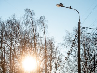 В Подмосковье экстремально потеплеет на 13 градусов