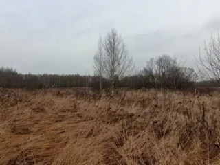 Участки для дома и бизнеса: в каких округах Подмосковья самая выгодная земля