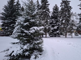 Резкое похолодание: спасатели предупредили павловопосадцев о неблагоприятных метеоусловиях