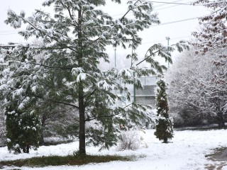 Арктический холод сковал север Подмосковья! Стало известно, в каком городе заледенело все!