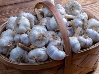 Перестаньте носить ожерелье из чеснока: при гриппе помогают совсем другие средства