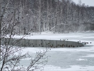 От -19 до нуля: синоптики дали прогноз на погоду в Подмосковье после Нового года