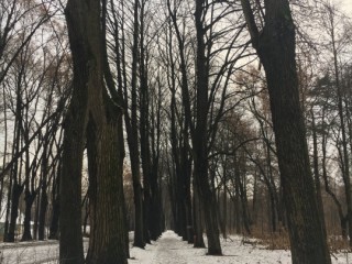 День под серым покрывалом: почему в столичном регионе снова пасмурно