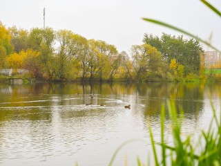 Нижний Ащеринский пруд победил в голосовании за очистку водоемов