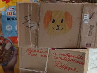 Для братьев наших меньших: дошкольники Электростали отправили гуманитарный груз в приют