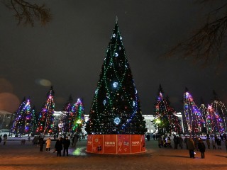 Двадцать метров праздника: когда зажгут главную ель в Ступине?