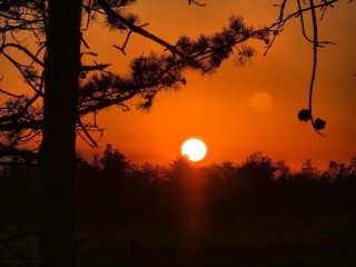 Самый опасный день в году: нечисть выходит на охоту! Как уберечь свою душу от зла 26 декабря в Ведьмины посиделки