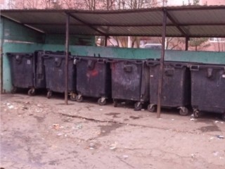 После обращения жителей оперативно вывезли мусор с контейнерной площадки в Домодедово