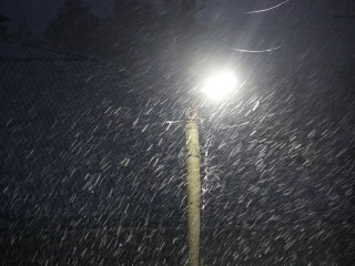 Началось: в Егорьевск пришла обещанная синоптиками метель