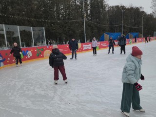 Серпуховский каток вошел в топ‑2 области по посещаемости среди 47 площадок