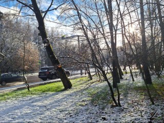 Морозы сдают позиции: потепление снова придет в Подмосковье в эту дату