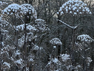 Тайна Федулова дня: почему 5 января дом закрывали на семь запоров?