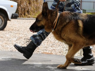 Успенскую школу в Горках-2 проверяют на наличие взрывчатки после нападения подростка