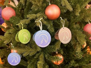 «Елка желаний» открывает сезон добрых дел в Серпухове