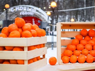 Сколько мандаринов можно есть в день: советы врача