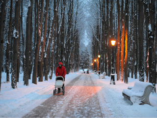 Когда метель обрушится на Подмосковье? Синоптики дали прогноз осадков и морозов в регионе