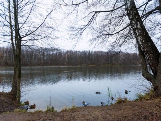 Мест для отдыха станет больше: какие пруды и озера расчистят в Подмосковье в 2026 году