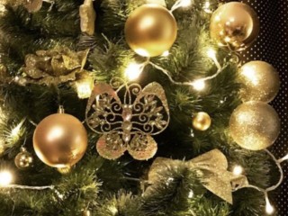 Живая ель vs искусственная: какую новогоднюю красавицу лучше выбрать и почему — советы профессионалов