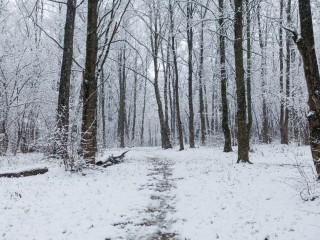Лидеры торгов определены: какие округа Подмосковья предлагают самые интересные участки и где искать лучшие стартовые цены
