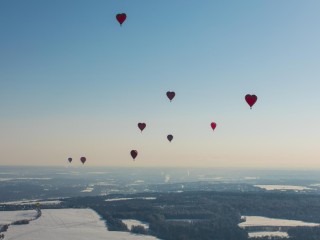 Землю разбирают в драку: почему в Подмосковье перед Новым годом возник ажиотаж на аукционах и как это сказалось на ценах