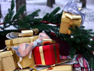 Коты, город и история: в Домодедове запустили интерактивный квест