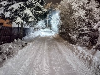 Метель, гололед и ветер до 15 м/с: МЧС предупредило об опасной погоде 12 декабря