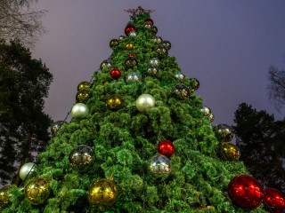 Атлантика «подогрела»: Вильфанд рассказал о причинах декабрьского тепла