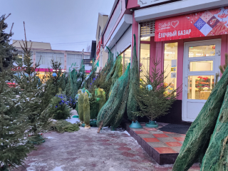 Все для праздника: стало известно, где в Серпухове откроются елочные базары