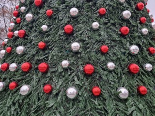 Десяток светящихся домов украсили основание елки в центре Мытищ