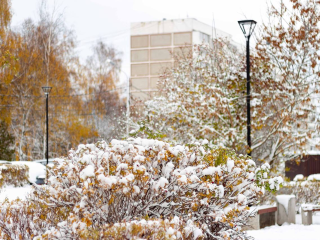 Зима в Кашире репетирует вступление в права