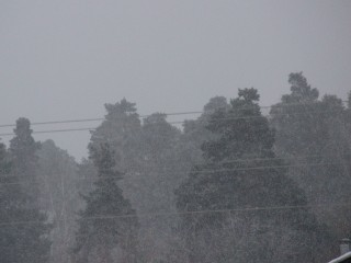 Снег с дождем пообещали егорьевцам до конца вторника