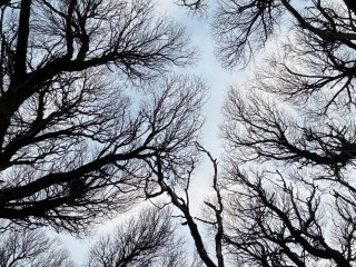 Тайный обряд в день Анфисы-Рукодельницы: как предки 21 декабря защищали своих детей от нечисти и сглаза