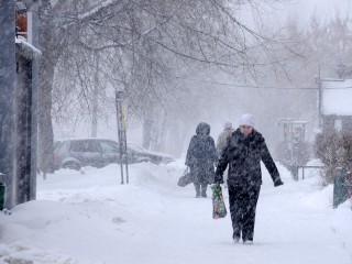 Небывалые морозы придут в Подмосковье после аномального тепла 20-21 декабря