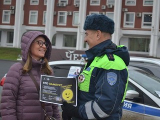 Быть заметней на дороге научили полицейские жителей Чехова