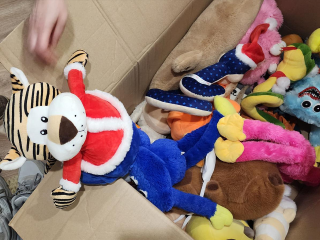 Плюшевую капибару и музыкальные игрушки подарил «Благодарный шкаф» долгопрудненской семье