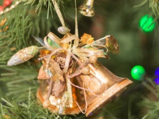 Елка, которая лечит: в НИКИ детства каждый шарик стал чьей-то заветной мечтой