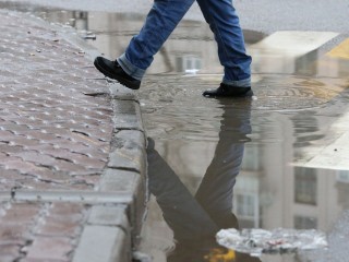 Уже скоро: в Гидрометцентре назвали дату начала потепления в Московской области