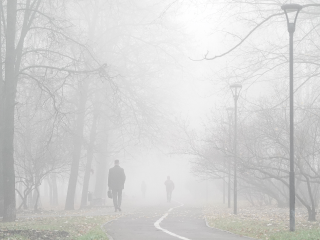 Туман видимостью до 200 метров накроет Подмосковье больше чем на сутки