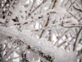 Зима сошла с ума? Сильный гололед и морозы сменятся туманами и оттепелями в Подмосковье