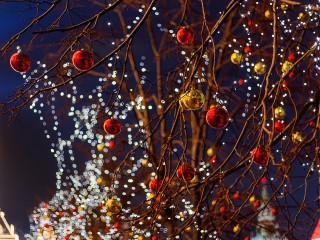 Необычные световые украшения смонтировали в сквере возле театра «ФЭСТ»